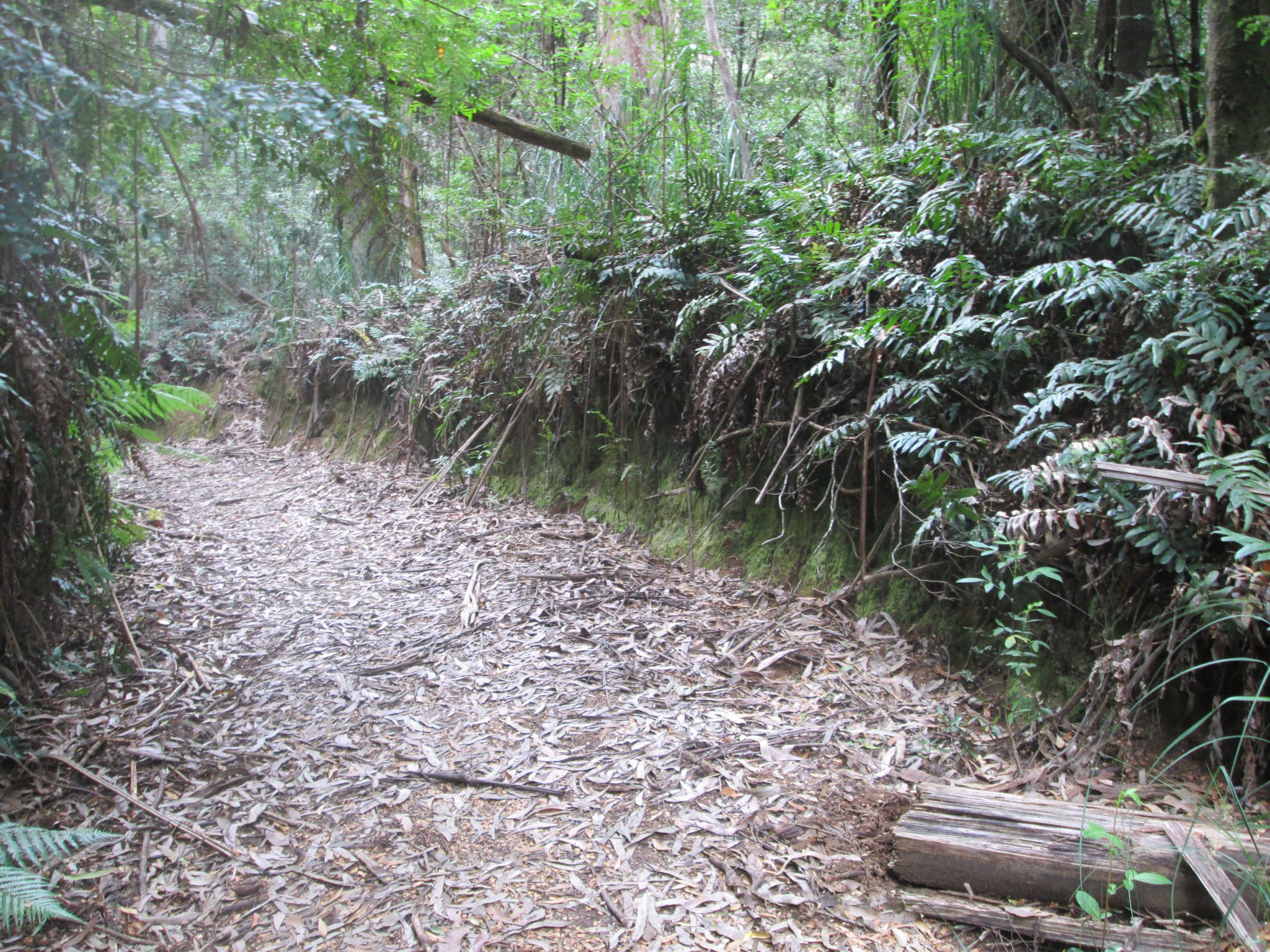 walk into history trail