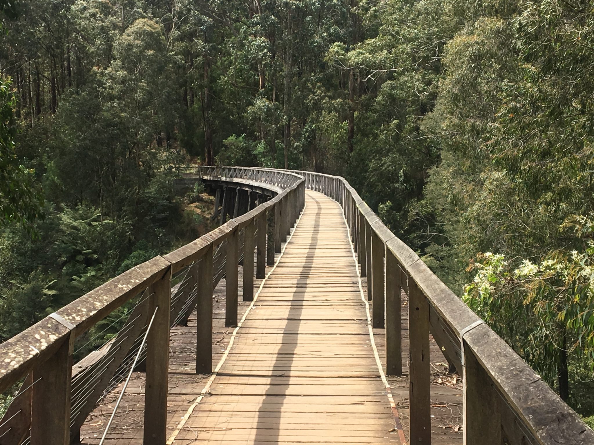 Noojee Trestle Bridge