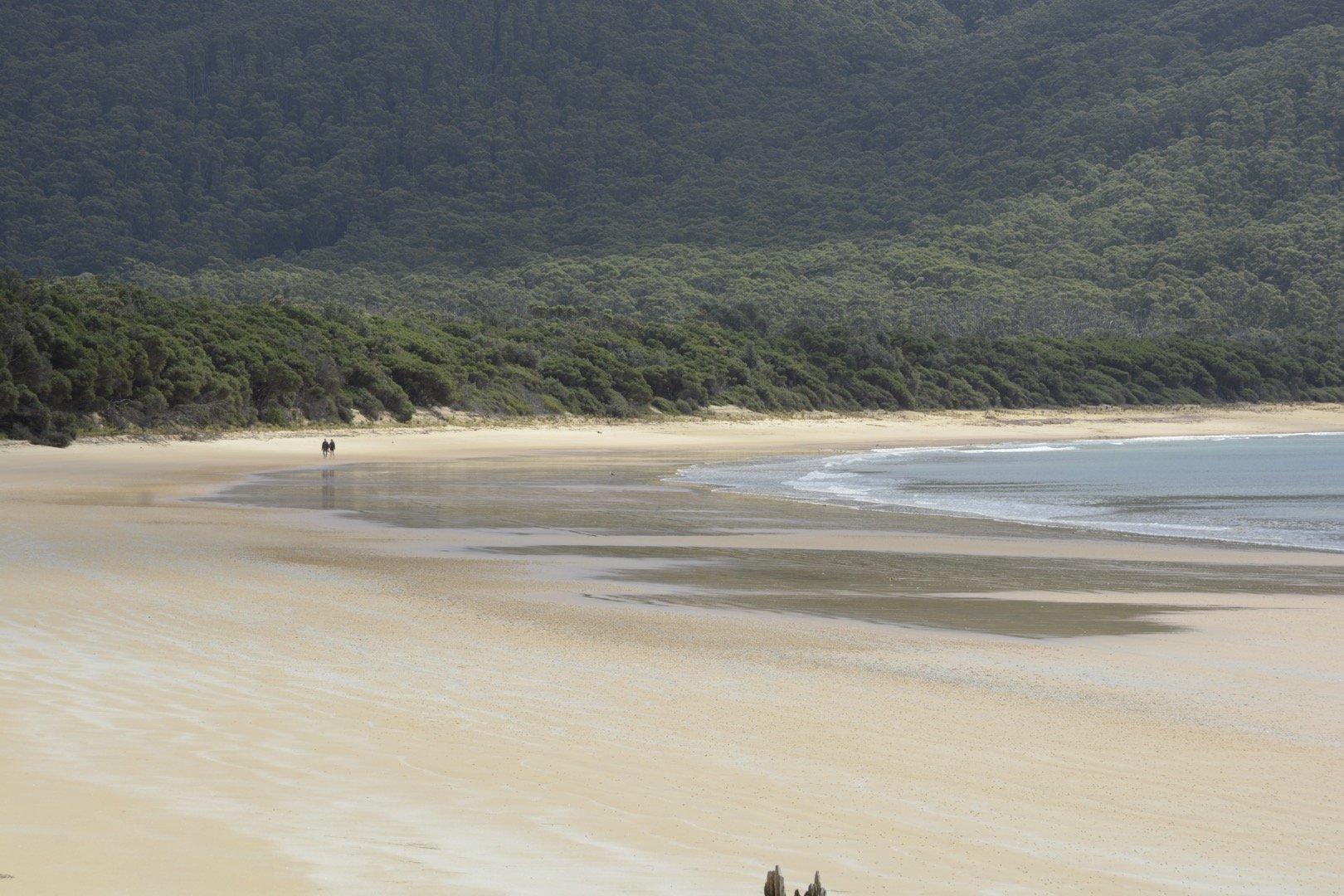refuge cove
